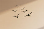 Migrating Birds Flight Metal Strip Wall Art