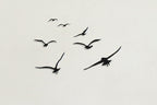 Migrating Birds Flight Metal Strip Wall Art